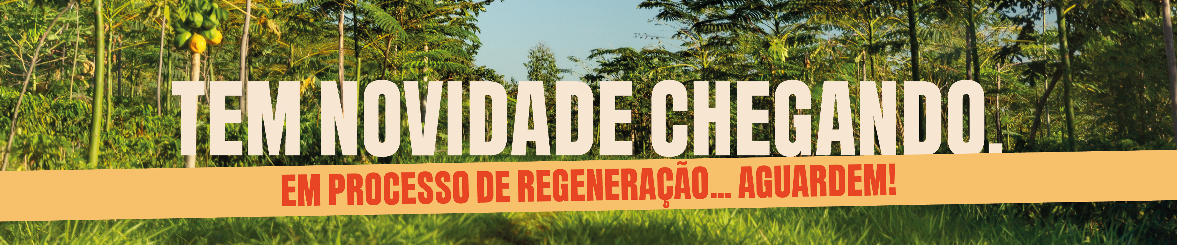 Regenerando